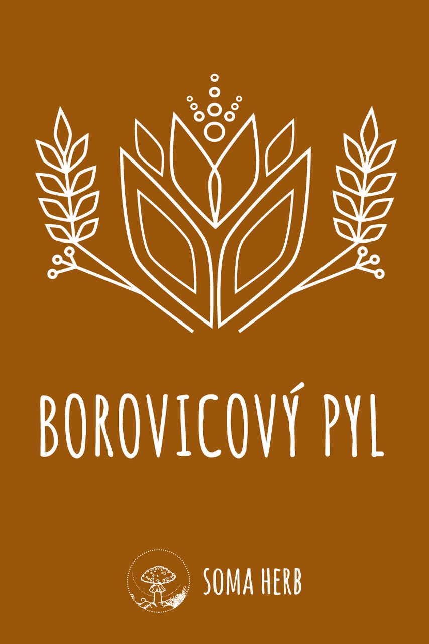 Borovicový pyl - prášek 